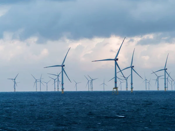 Parco Eolico Offshore Onshore Westermeerwind Parco Eolico Nei Paesi Bassi — Foto Stock