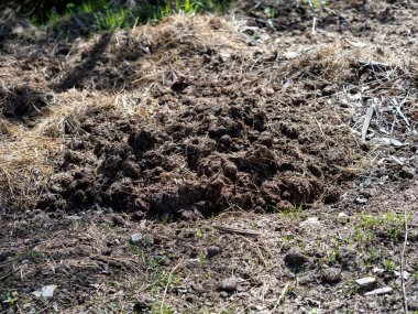 Çayır gübrelerinin fotoğrafı.