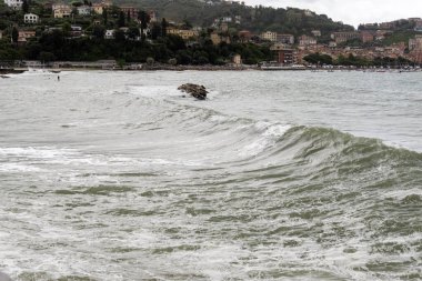 Bir sörfçü İtalya 'da bir dalgada sörf yapar