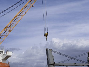 marina di carrara limanda vinç