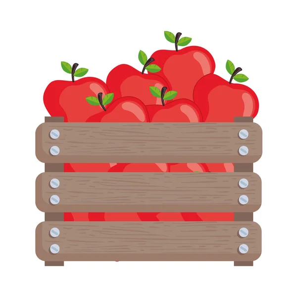 Μήλα Φρέσκα Φρούτα Ξύλινο Καλάθι — Διανυσματικό Αρχείο