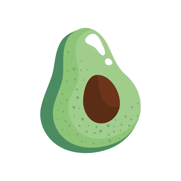 Свежие Овощи Авокадо — стоковый вектор
