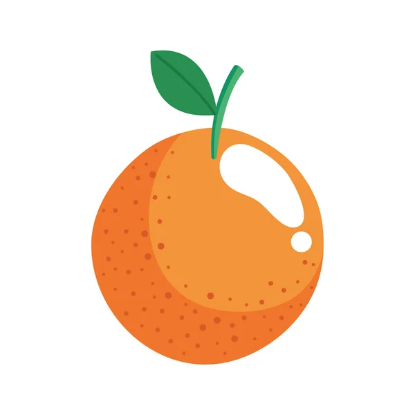 鲜橙水果健康图标 — 图库矢量图片