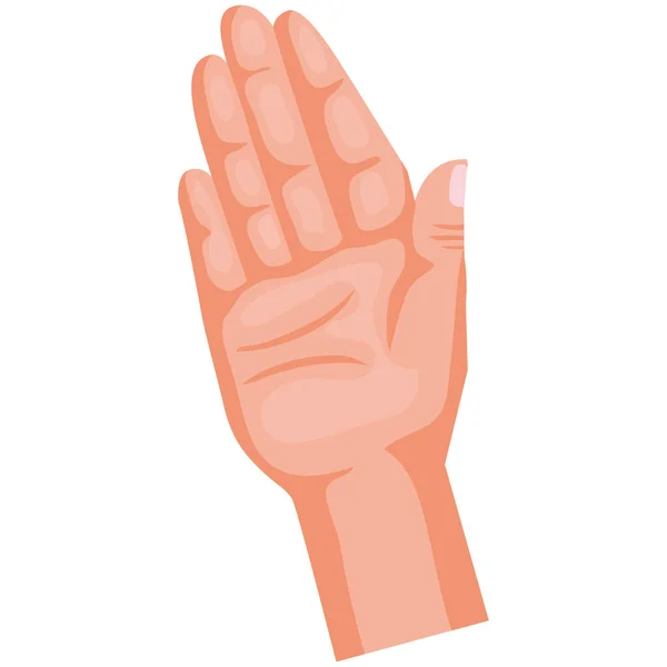 Χέρι Ανθρώπινο Εικονίδιο Χειρονομία Στάση — Διανυσματικό Αρχείο