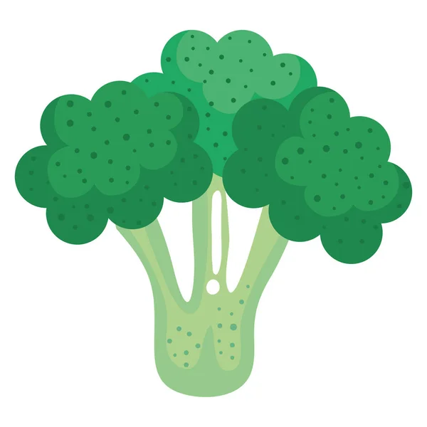 Frischer Brokkoli Gemüse Gesunde Nahrung — Stockvektor