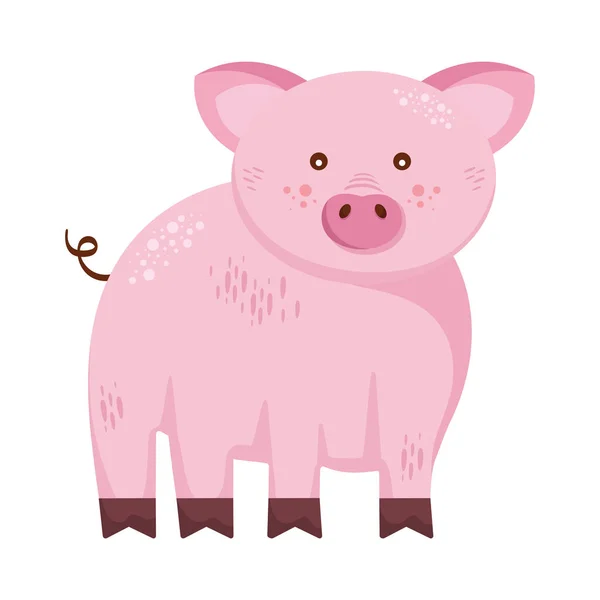 Schwein Liebenswert Tier Bauernhof Charakter — Stockvektor