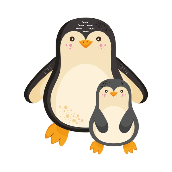 Pingüinos Aves Familia Amor Personajes — Vector de stock
