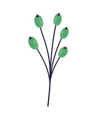 Yeşil çam ağaçları olan bir dal.