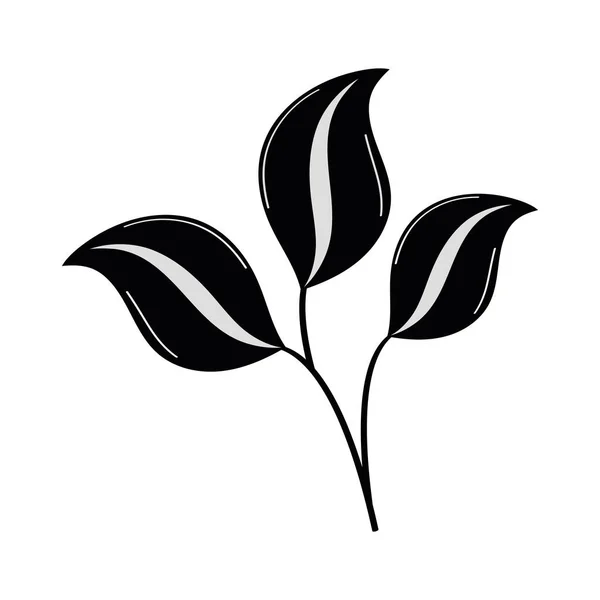 Branch Leafs Foliage Silhouette — Stok Vektör
