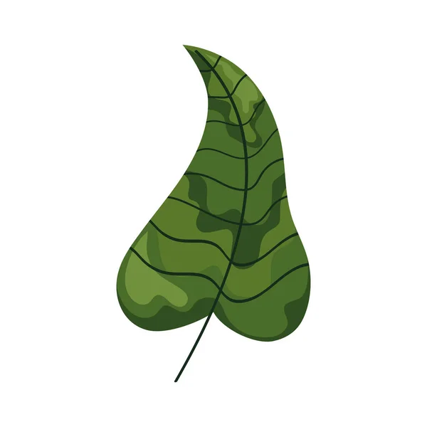 Ecology Leaf Plant Foliage Nature Icon — Stockvector
