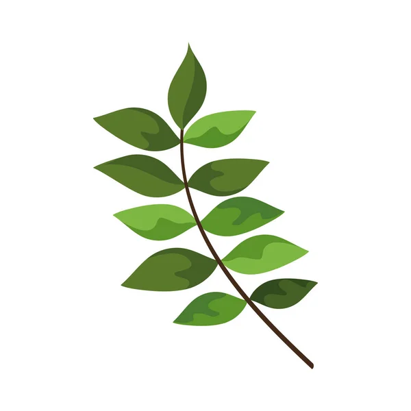 Green Branch Leafs Foliage — Stockvector