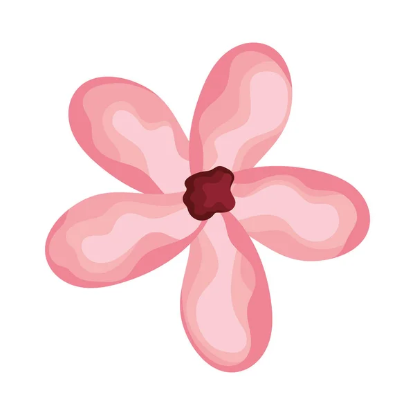 Розовый Цветок Украшения Природы — стоковый вектор