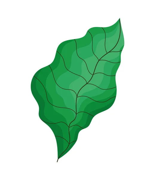 Leave Plant Foliage Nature Icon — Stock Vector