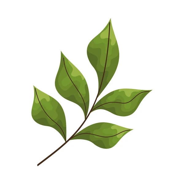 Branch Leaves Foliage Icon — Vector de stock