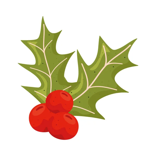 Baies Feuilles Noël Décoration — Image vectorielle