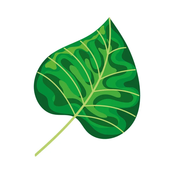 Zöld Levél Növény Lombozat Természet Ikon — Stock Vector