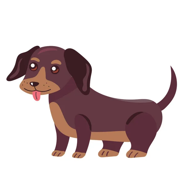 Χαριτωμένο Σκυλί Dachshund Χαρακτήρα Μασκότ — Διανυσματικό Αρχείο