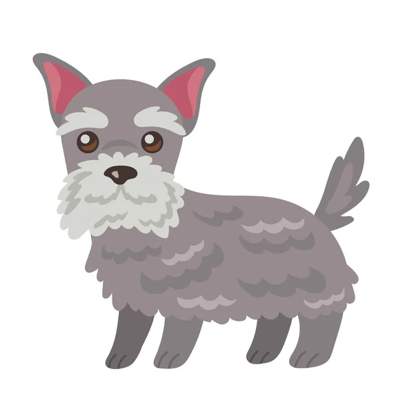 かわいい犬シュノーザーマスコットキャラクター — ストックベクタ