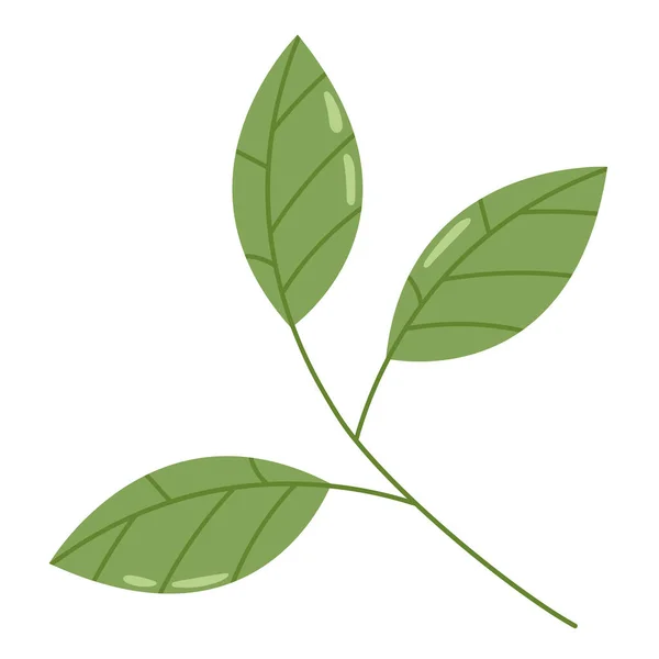 식물의 고립된 아이콘 — 스톡 벡터
