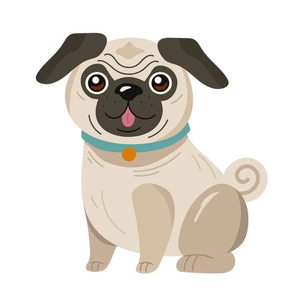 Cute Dog Pug Mascot Character — Stock Vector