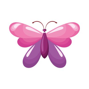 Pembe ve leylak rengi kelebek ikonu
