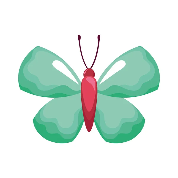 Zöld Szépség Pillangó Rovar Ikon — Stock Vector