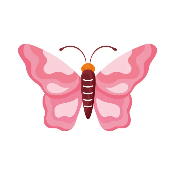 Rosa Belleza Mariposa Insecto Icono — Vector de stock