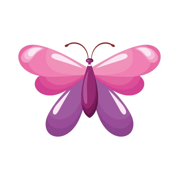 Icono Insecto Mariposa Rosa Lila — Vector de stock