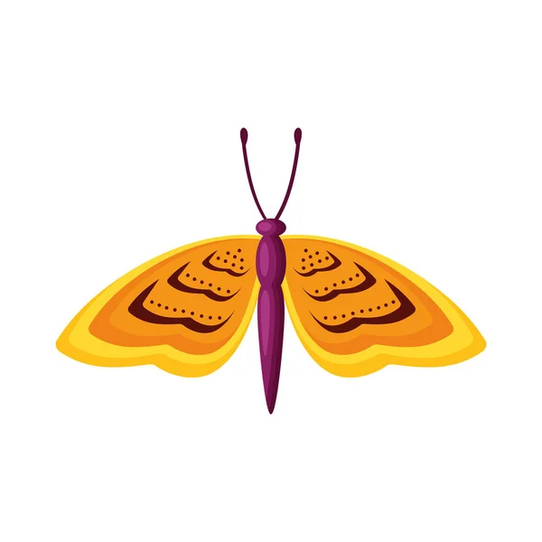 Insecte Papillon Jaune Animal Icône — Image vectorielle