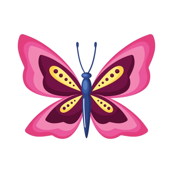 Frumusete Roz Fluture Pictograma Insecta — Vector de stoc