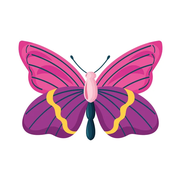 Rosa Púrpura Mariposa Insecto Icono — Vector de stock