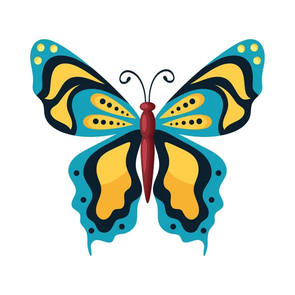 Beauty Butterfly Insect Flying Icon — Stock Vector