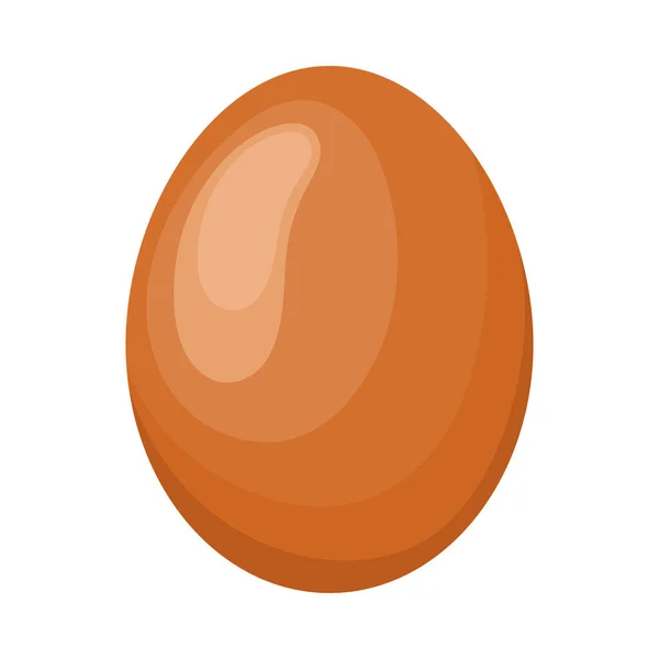 Φρέσκια Πρωτεΐνη Αυγού Υγιεινή Τροφή — Διανυσματικό Αρχείο