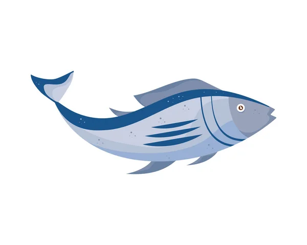 Taze Balık Proteini Deniz Ürünleri Simgesi — Stok Vektör