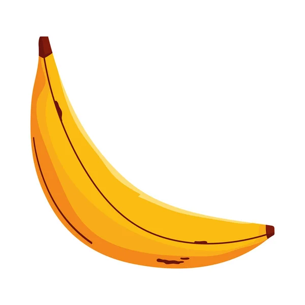 新鮮なバナナフルーツの健康的なアイコン — ストックベクタ
