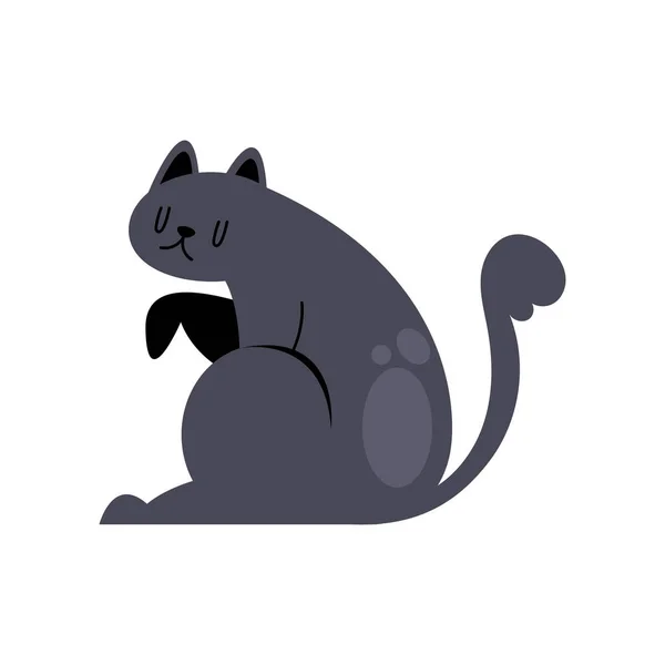 Bonito Pequeno Gato Preto Felino Personagem — Vetor de Stock