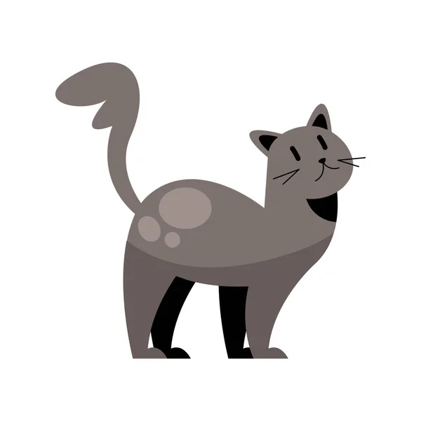 Cute Little Cat Gray Character — Stock Vector