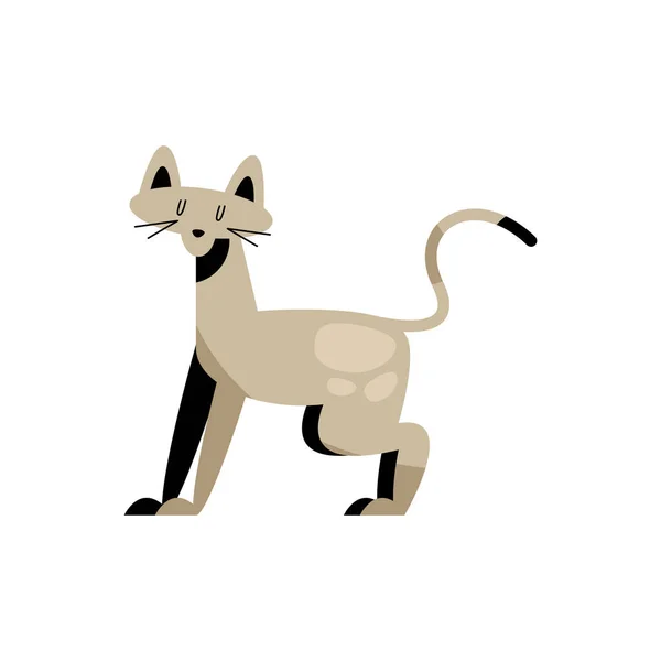 Söt Liten Beige Katt Katt Katt Karaktär — Stock vektor