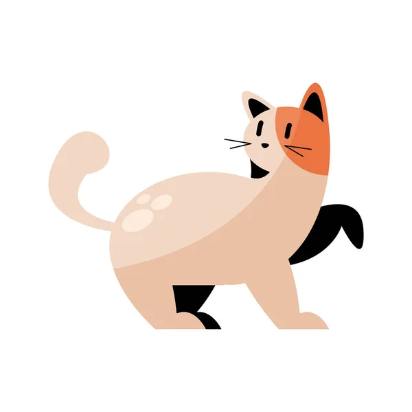 Cute Little Cat Feline Character — Stock Vector