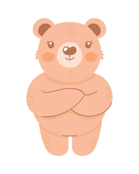Kleiner Brauner Bär Teddybär — Stockvektor