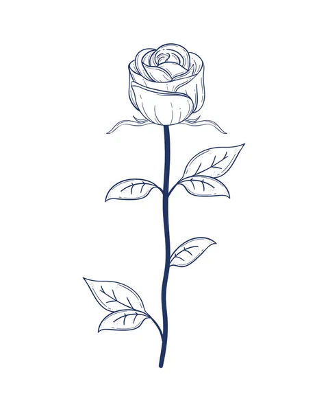 バラの花の庭のスケッチスタイル — ストックベクタ