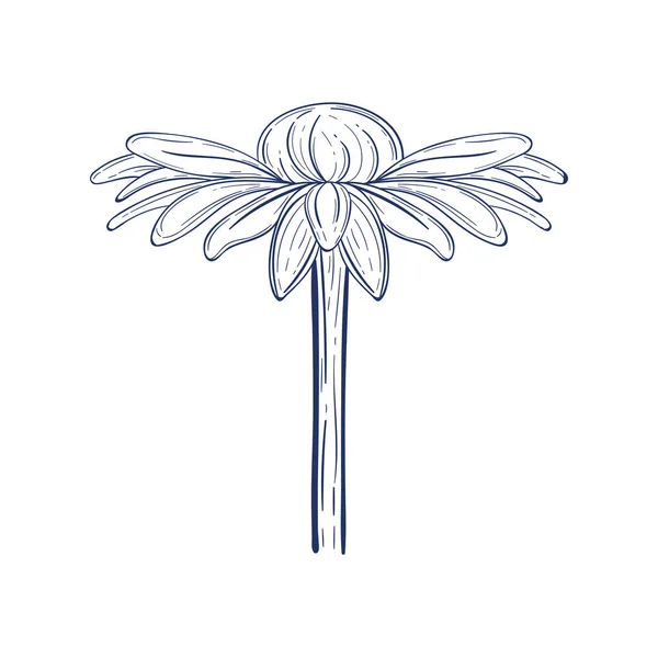 Sonnenblumengarten Skizze Stil Symbol — Stockvektor