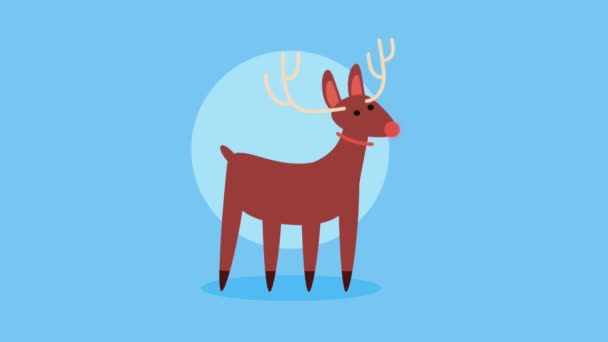 Animación Animal Feliz Navidad Renos Video Animado — Vídeos de Stock