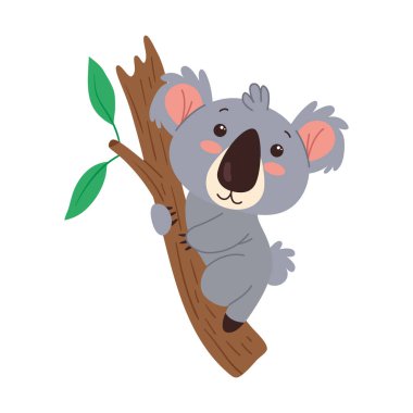 Koala egzotik Avustralyalı hayvan karakteri