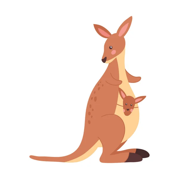 カンガルーエキゾチックなオーストラリアの動物のキャラクター — ストックベクタ