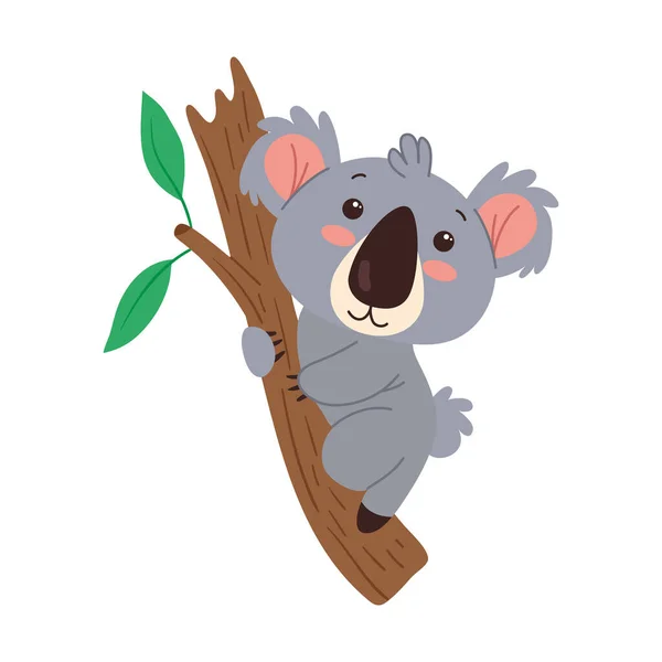 Koala Esotico Carattere Animale Australiano — Vettoriale Stock