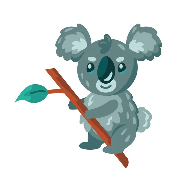 Avustralya Hayvan Karakteri Dalında Koala — Stok Vektör