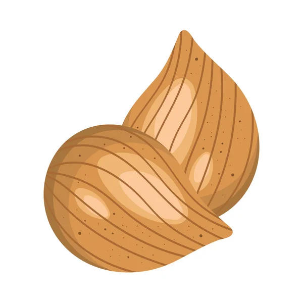 Mandelnötter Frön Hälsosam Mat — Stock vektor