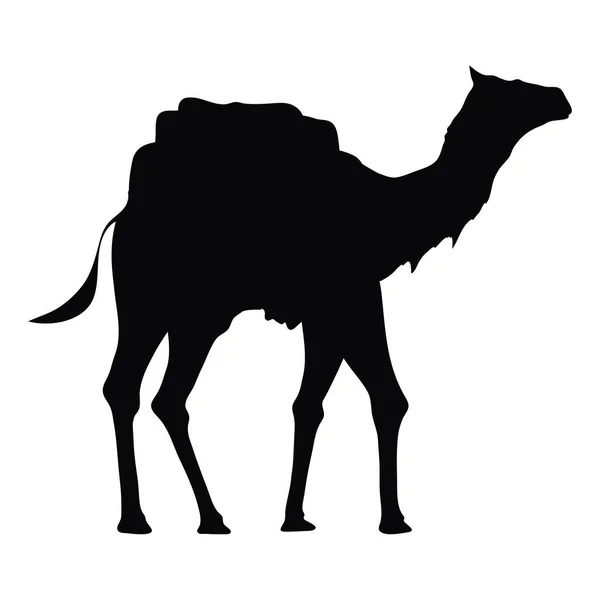 Camel Walking Silhouette Style Icon — Stock Vector
