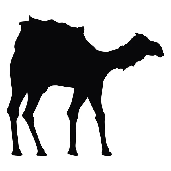 Черный Силуэт Верблюжьего Животного — стоковый вектор